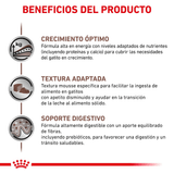 VHN GASTRO KITTEN LATA - BENEFICIOS